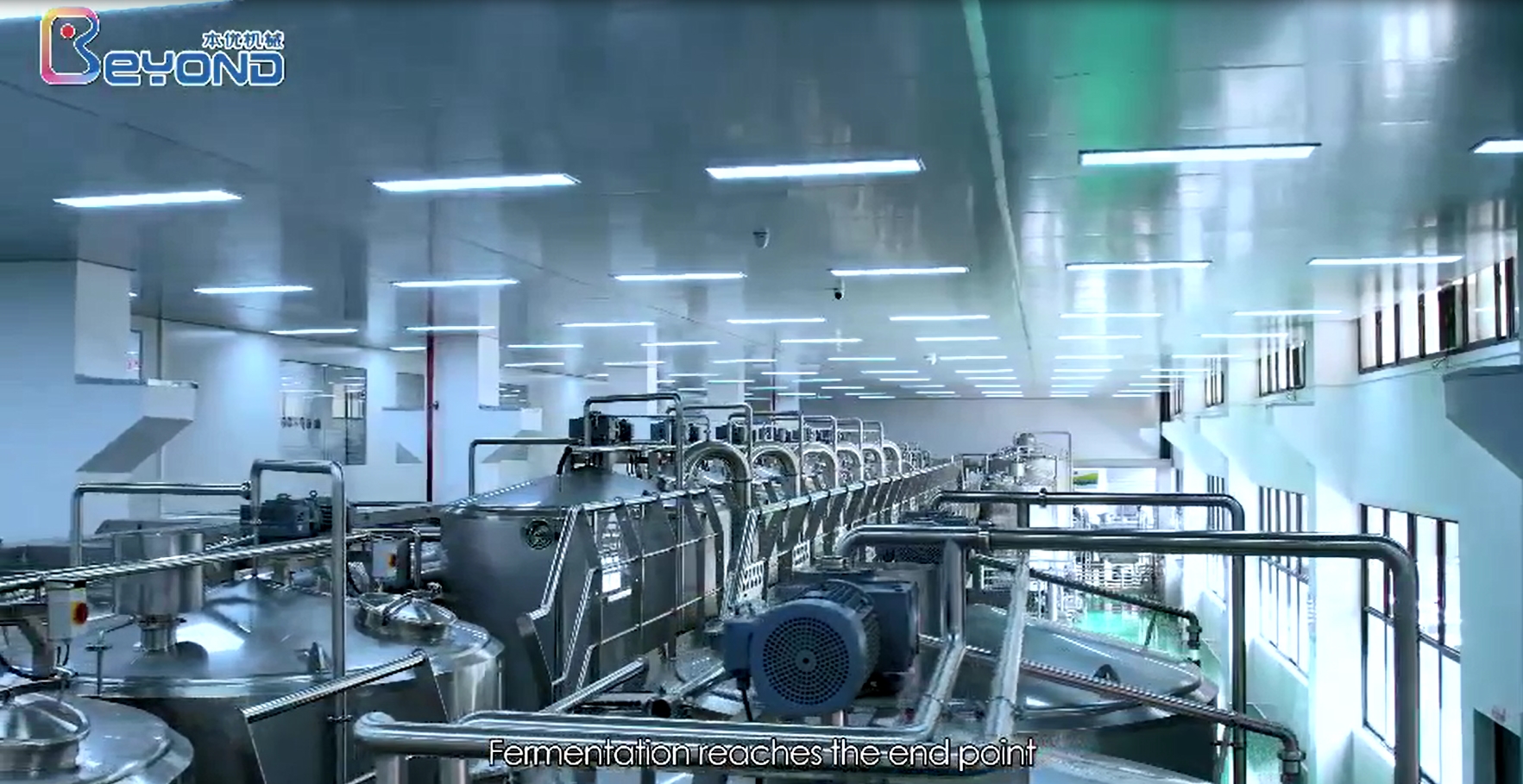 酸奶生產線 酸奶生產線